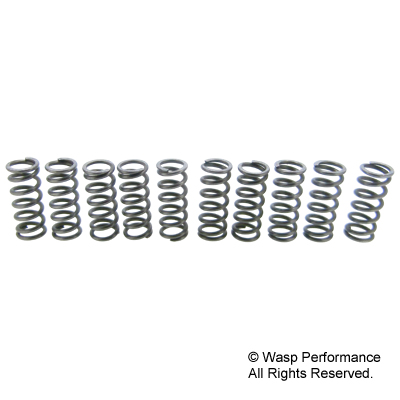 SIP Cosa Type II 10 x XXXL Clutch Spring Kit